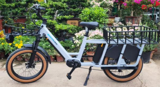 CC203 Electric Bike - Urban Pedal Assist Electric Bicycle for Wholesale Export
