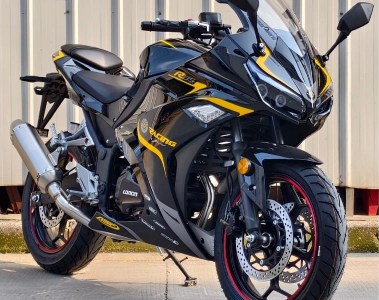 RE250 Motorbike - 250cc Performance Street Bike for Wholesale Export