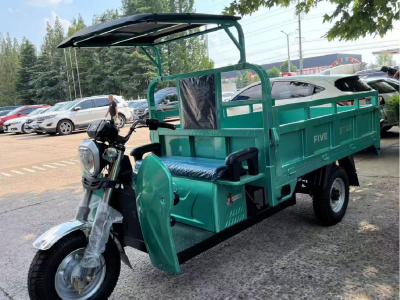 QIAOMI Warrior Cargo - Heavy Duty Electric Cargo Tricycle for Wholesale Export