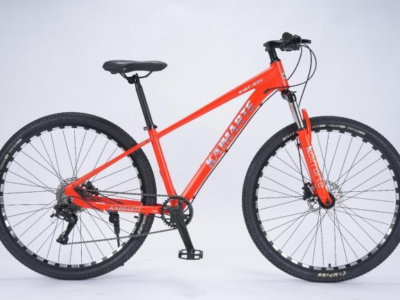 No.016 29 Inch MTB - 29-Inch Big Wheel Trail Mountain Bicycle for Wholesale Export