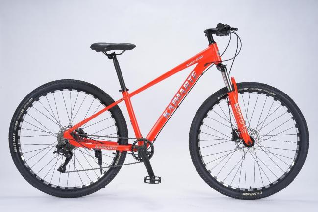 No.016 29 Inch MTB - 29-Inch Big Wheel Trail Mountain Bicycle for Wholesale Export
