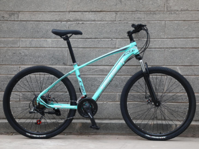 27.5/29 Carbon MTB - Lightweight Carbon Fiber Mountain Bicycle for Wholesale Export