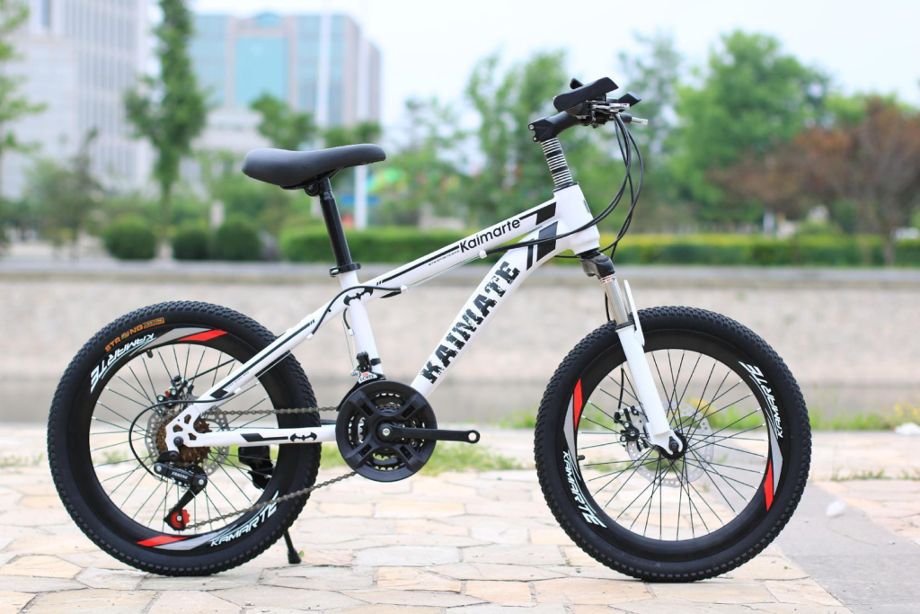 20 Inch Upgrade Bike - 20-Inch Enhanced Frame City Bicycle for Wholesale Export