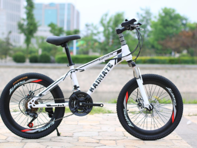 20 Inch Upgrade Bike - 20-Inch Enhanced Frame City Bicycle for Wholesale Export